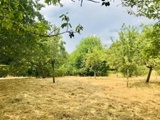 Maison à vendre - Longère à rénover à PRECY (18)
