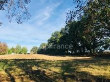 Dpt Cher (18), à vendre LE CHAUTAY terrain constructible 1 hectare