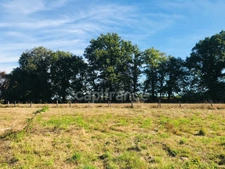 Dpt Cher (18), à vendre LE CHAUTAY terrain constructible 1 hectare
