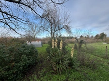 Grande maison familiale avec jardin en centre-ville de La Guerche-sur-l’Aubois