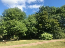 Estate for sale in the heart of Amognes