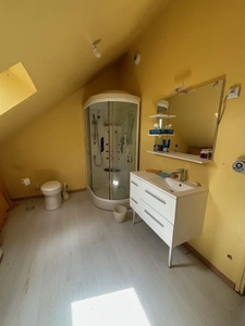 Dpt Cher (18), à vendre BEFFES maison P5 avec piscine