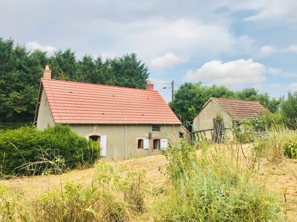 Maison à vendre - Longère à rénover à PRECY (18)