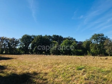 Dpt Cher (18), à vendre LE CHAUTAY terrain constructible 1 hectare