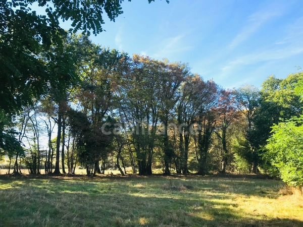 Dpt Cher (18), à vendre LE CHAUTAY terrain constructible de plus d'un hectare