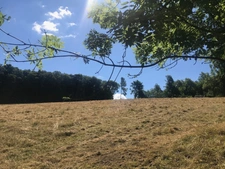 Estate for sale in the heart of Amognes