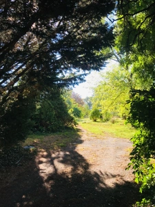 Dpt Cher (18), à vendre LE CHAUTAY terrain constructible 1 hectare