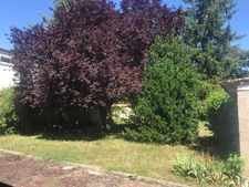 Maison à vendre 3 pièces LA GUERCHE SUR L'AUBOIS (18)