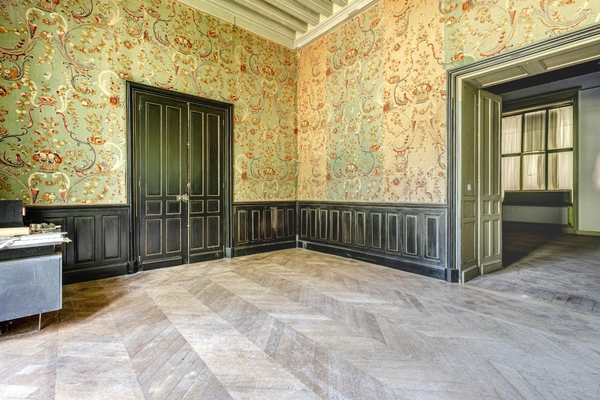 Château à vendre