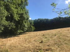 Estate for sale in the heart of Amognes