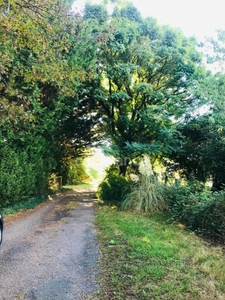 Dpt Cher (18), à vendre LE CHAUTAY terrain constructible 1 hectare