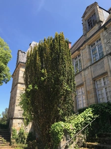 Château à VIERZON (18)