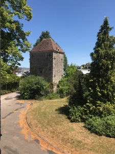 Château à VIERZON (18)