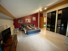 Magnifique propriété - Habitation de 456m² et Hangar de 360m2 à SAINT CHRISTOLY DE BLAYE (33)