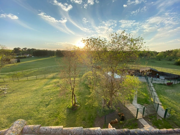 Magnifique propriété - Habitation de 456m² et Hangar de 360m2 à SAINT CHRISTOLY DE BLAYE (33)