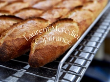 LACANAU OCÉAN – EMPLACEMENT N°1 – FONDS DE COMMERCE BOULANGERIE / TERMINAL DE CUISSON