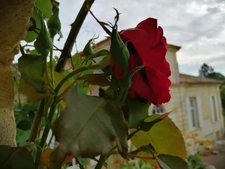 Charming property with self-catering accommodation and bed and breakfast – 15 minutes from Bordeaux