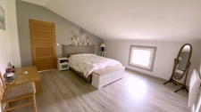 Magnifique propriété - Habitation de 456m² et Hangar de 360m2 à SAINT CHRISTOLY DE BLAYE (33)