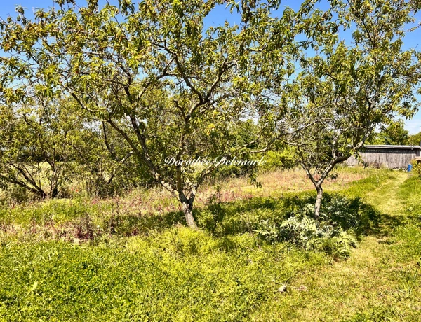 Terrain à vendre  SAINT MARD (17)Grand terrain constructible de 2075 m² – Environnement calme avec arbres fruitier