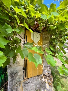 Maison à vendre 8 pièces MIGRE (17) Ensemble immobilier de charme avec gîte indépendant, dépendances et vue campagne – Migré