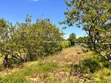 Terrain à vendre  SAINT MARD (17)Grand terrain constructible de 2075 m² – Environnement calme avec arbres fruitier