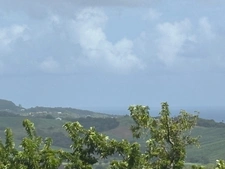 Terrain à vendre  LE ROBERT (972) de 593 m2