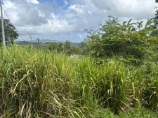 Terrain à vendre  LE ROBERT (972) de 593 m2