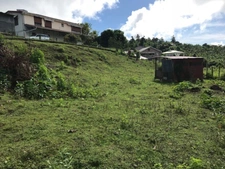 Dpt Martinique (972), à vendre LA TRINITE terrain de 940 m²