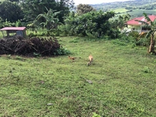 Dpt Martinique (972), à vendre LA TRINITE terrain de 940 m²