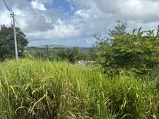 Terrain à vendre  LE ROBERT (972) de 593 m2
