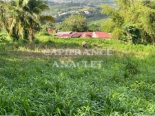 Dpt Martinique (972), à vendre LE LAMENTIN terrain de 2500 m² vue mer