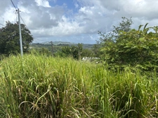 Terrain à vendre  LE ROBERT (972) de 593 m2