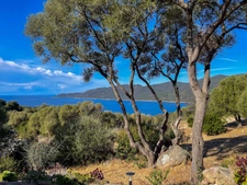 Villa à vendre 3 pièces SERRA DI FERRO (20)