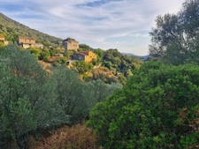 Propriano-Corse du Sud Maison 9 pièces de 170 m2