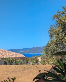 Appartement à vendre 3 pièces 60 m2 PROPRIANO - Corse du Sud