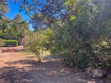 Terrain à vendre 525 m2 Abbartello- Olmeto plage (20)