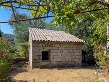 Maison de village 7 pièces et Caseddu LEVIE (20)