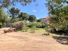 Terrain à vendre 525 m2 Abbartello- Olmeto plage (20)