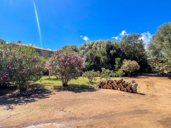 Terrain à vendre 525 m2 Abbartello- Olmeto plage (20)
