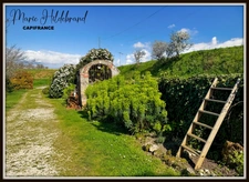 Character house + swimming pool + panoramic view + outbuildings – potential for a gîte – Tarn-et-Garonne (82)