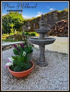 Maison de caractère + piscine + vue panoramique + dépendances – potentiel gîte – Tarn-et-Garonne (82)