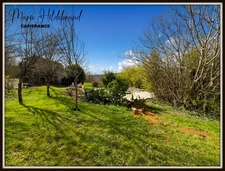 Character house + swimming pool + panoramic view + outbuildings – potential for a gîte – Tarn-et-Garonne (82)