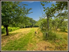 Maison familiale – 200 m² – 5 chambres – jardin de plus de 3800m² 