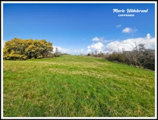 Terrain à Bâtir de plus de 2300m² proche de Moissac