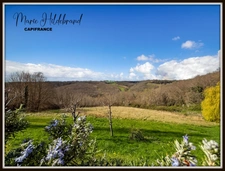 Character house + swimming pool + panoramic view + outbuildings – potential for a gîte – Tarn-et-Garonne (82)