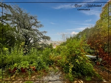 House 130 m² – 5 bedrooms – View of Agen – Garden + 800m² 