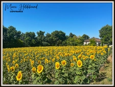 Luxury property in the countryside – Elegance and space in the countryside – 390 m² of living space – agricultural land