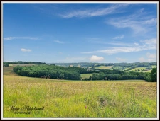 Maison en pierre de 120m² avec gite de 42m² - Terrain : + de 8000m²