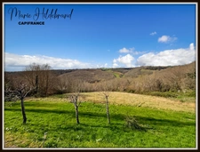 Character house + swimming pool + panoramic view + outbuildings – potential for a gîte – Tarn-et-Garonne (82)