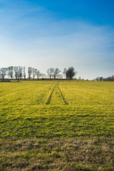 Terrain à vendre  proche de LE MAS RILLIER (01)